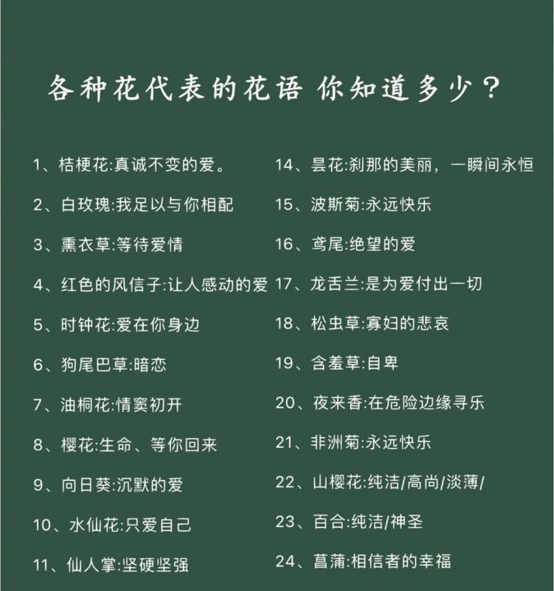 哪种花的花语最受欢迎？花语好的花有哪些？