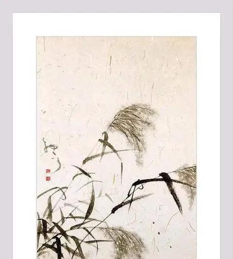 芦苇花语在情感表达中代表什么？