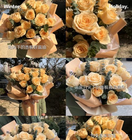 香槟玫瑰花语表达的是什么？
