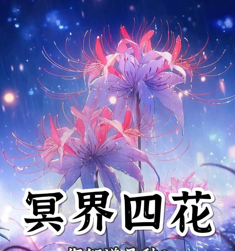 彼岸花为什么没有花语？背后有什么故事？