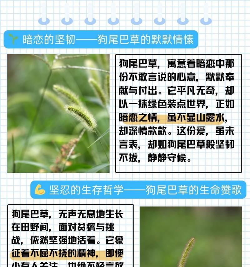 草的花语和功效特点是什么？草的诗词中有哪些花语？