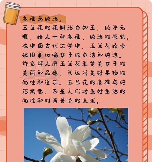 兰黛花的花语代表什么含义？