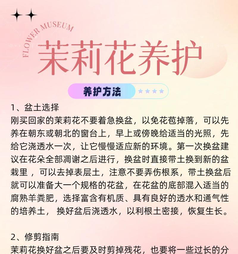 茉莉花的现代花语是什么？它象征着什么？