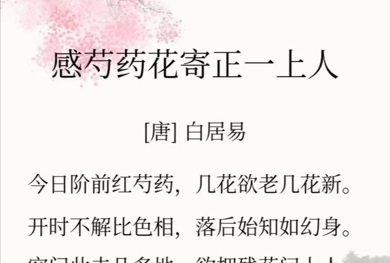芍药花的花语是什么？为什么芍药花被称为花中之相？