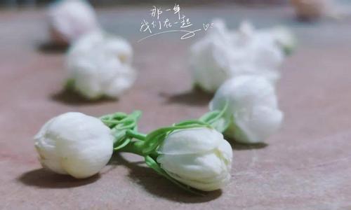 时光花语的含义是什么？读音正确吗？