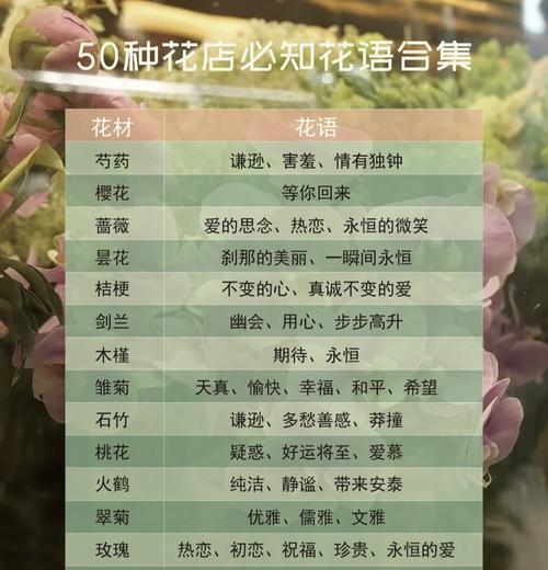 用什么花对朋友表达歉意？花语如何传达歉意？