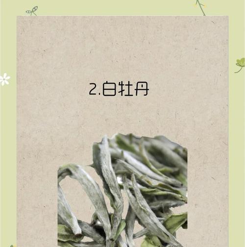 白茶花语代表什么？