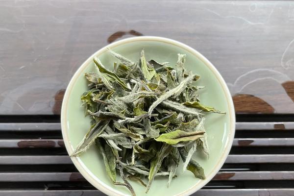 白茶花语代表什么？