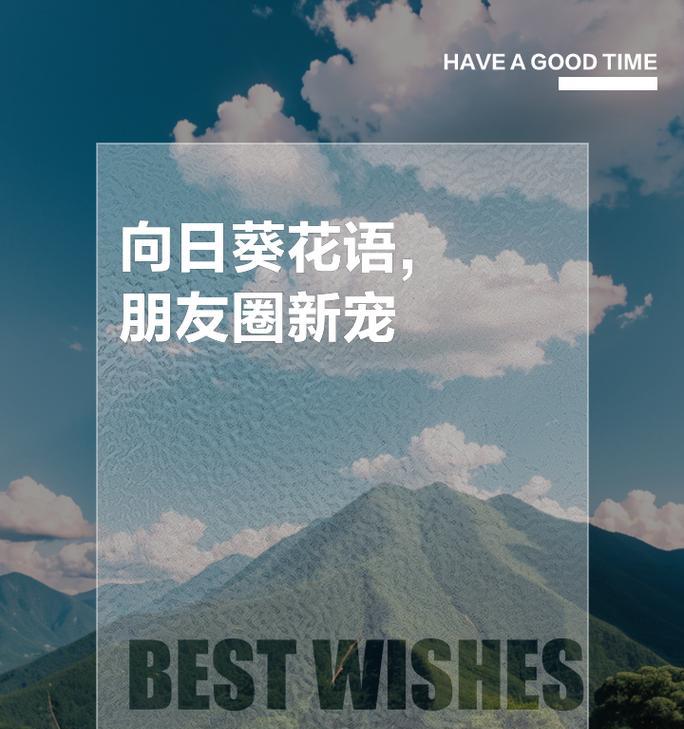 向日葵花语为何让人感到可怕？