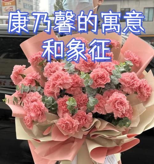 新家搬迁应送哪种花表达祝福？