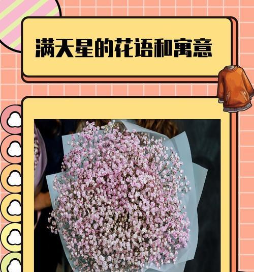 各个颜色的满天星花语是什么？不同颜色满天星的花语有何不同？