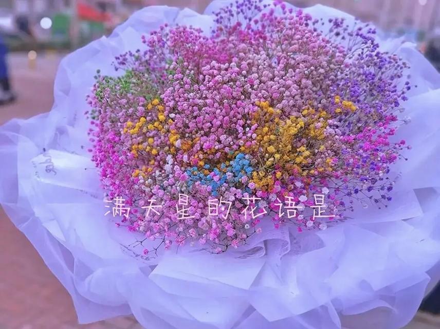 各个颜色的满天星花语是什么？不同颜色满天星的花语有何不同？