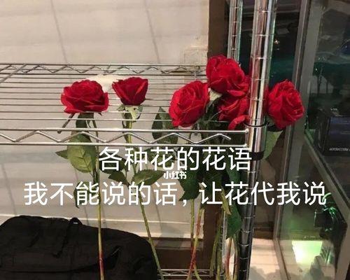 哪种花的花语是我爱自己？