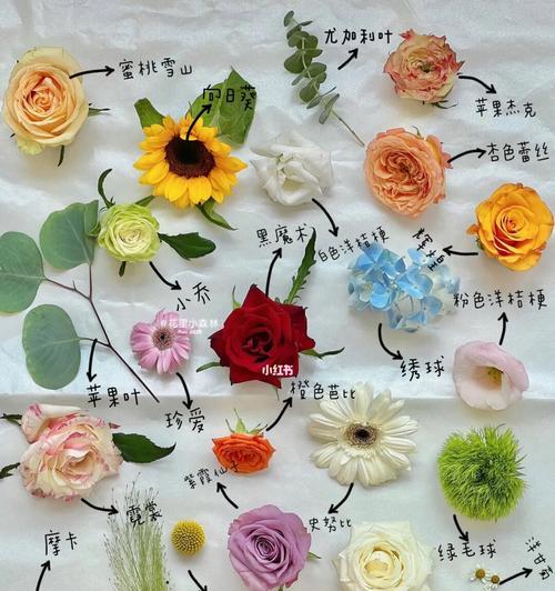 送亲家母时哪种花语最为恰当？