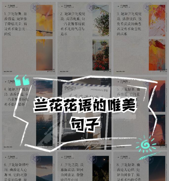 不同颜色兰花的花语有何区别？