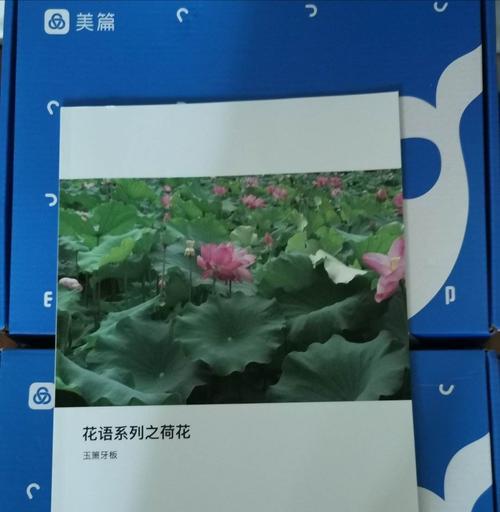 抵达黎明花语背后的故事？
