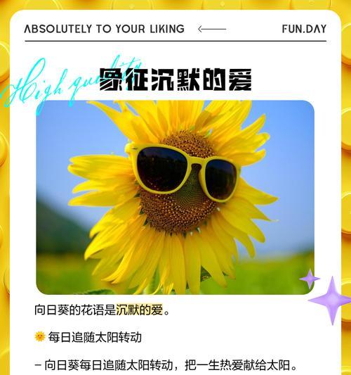 向日葵的花语传达了哪些信息？