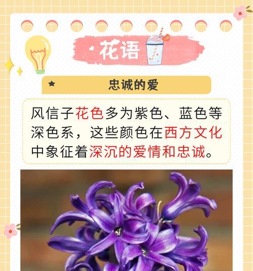 这些植物的花语通常表达什么？
