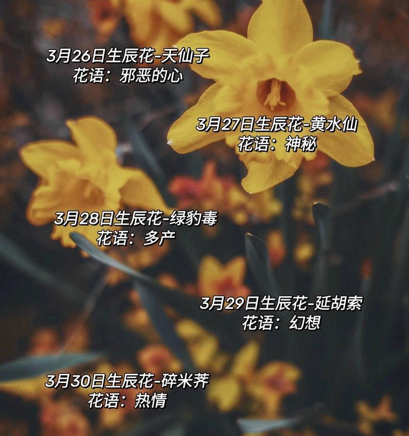 3月31号对应的花语是什么？