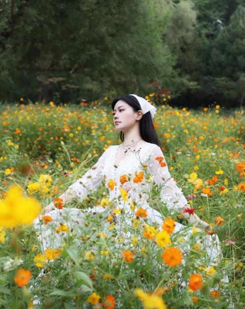 哪种花的花语能形容少女的美？少女美用哪种花的花语表达？
