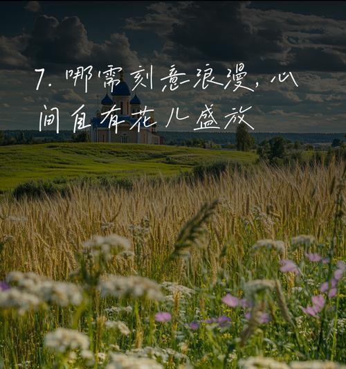 哪朵花的花语是冷傲？