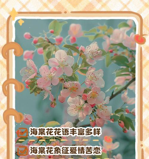 青海棠的寓意和花语是什么？如何表达爱意？