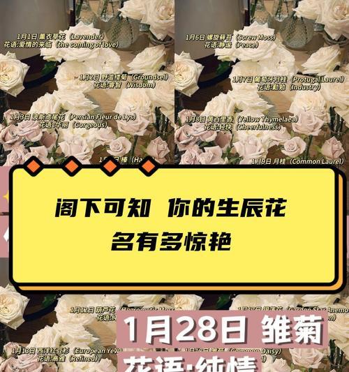 等花的花语有哪些？它象征着什么？