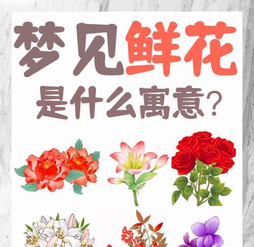 哪种花的花语是让人忘记烦恼？