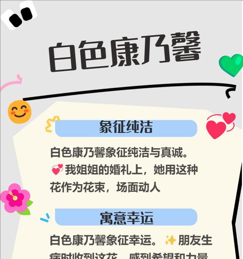 道具花语中示爱是什么意思？它如何表达情感？