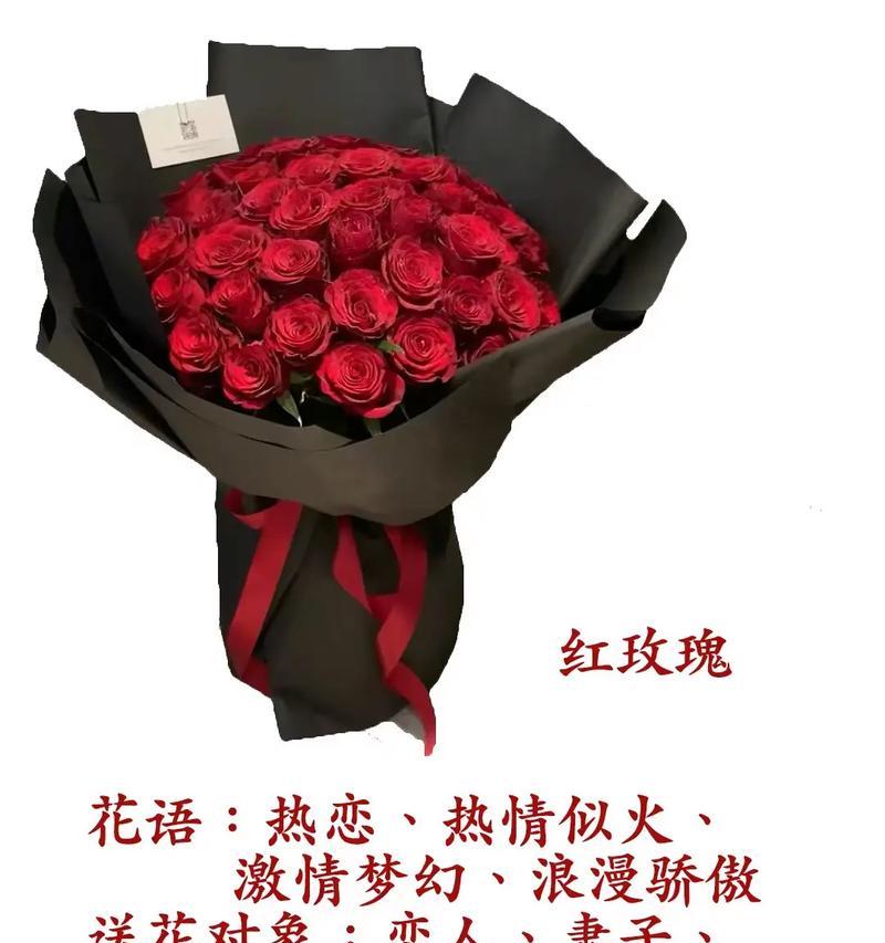 网红爆火玫瑰的花语有何寓意？