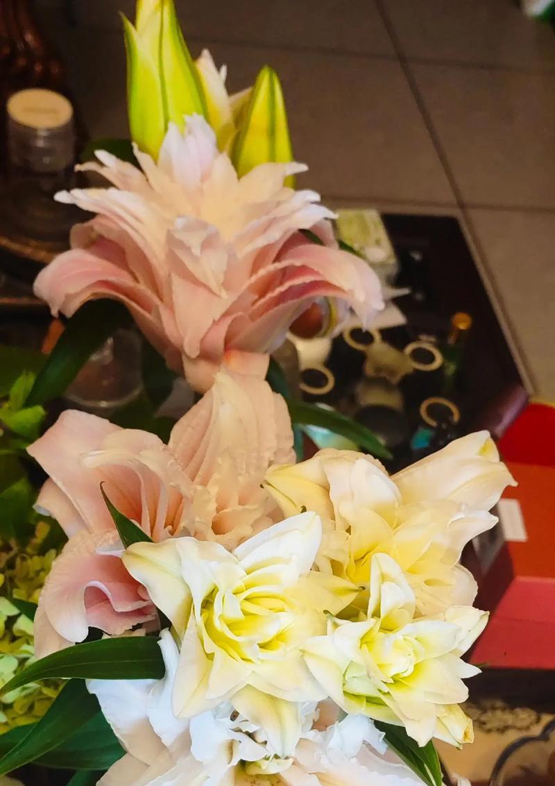 香水草木的花语有哪些？它们的含义是什么？