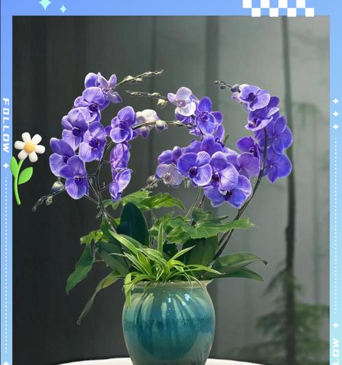 哪种花语代表工作顺利？工作顺利的花语有哪些？