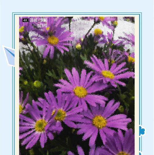 花朵绣球的花语寓意能否传达特别情感？