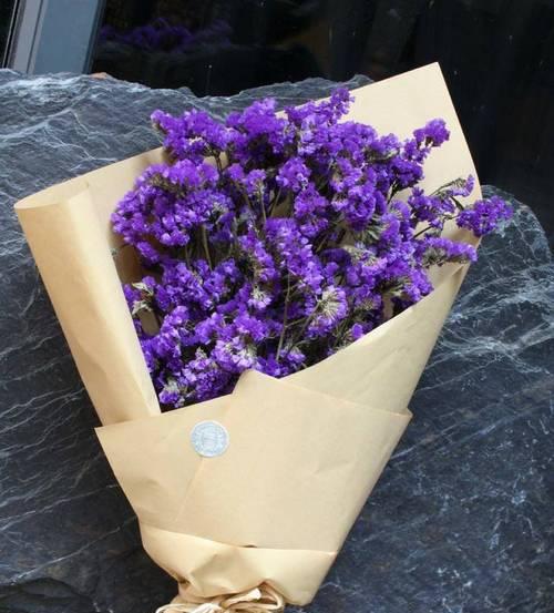 姐妹之间花语有何特别含义？如何增进感情？
