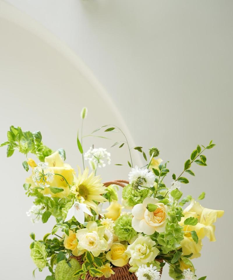 花篮中的鲜花有哪些花语？它们各自代表什么？