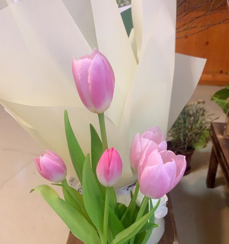哪种花语代表女性的能干？能干女性的象征花是什么？