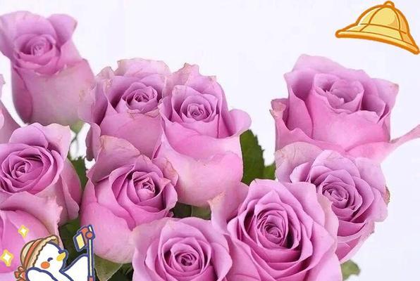 紫霞仙子是什么花语？这种花如何象征梦幻与神秘？