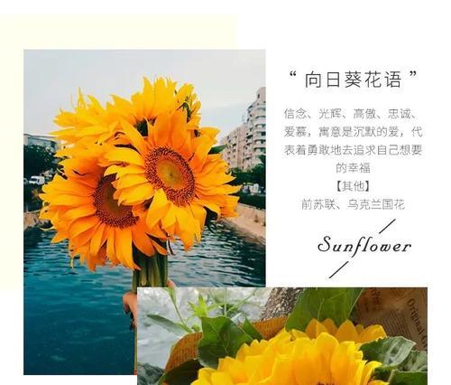 可怕的花语和寓意有哪些？如何避免使用不当？