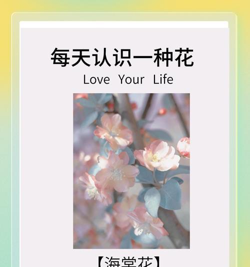 黄莺花的花语有何寓意？