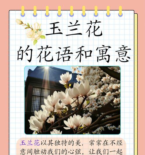 天冷送花的花语含义是什么？天冷送花代表什么？