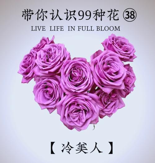 冷面的花语有何含义？它代表了什么情感？