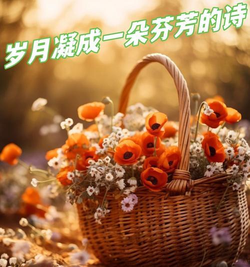 虞美人的花语是什么？它为何成为花语的象征？