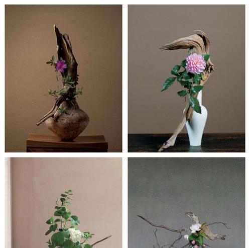 简单插花与花语的区别是什么？插花艺术与花语有何不同？