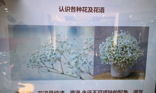 简单插花与花语的区别是什么？插花艺术与花语有何不同？