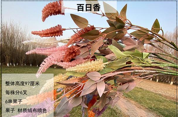 百日香的花语是什么？它象征着什么？