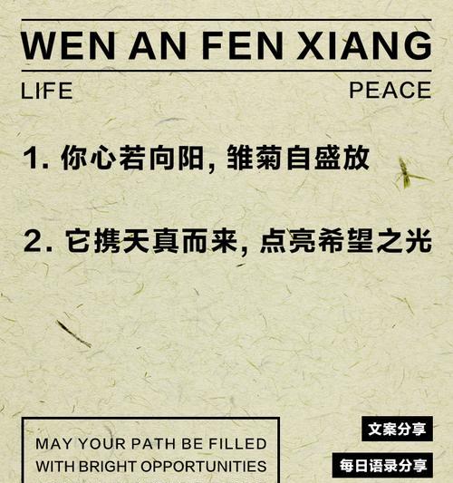 小雏菊代表了什么？小雏菊的花语有哪些？