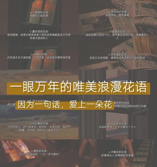 樱花的浪漫花语具体指什么？