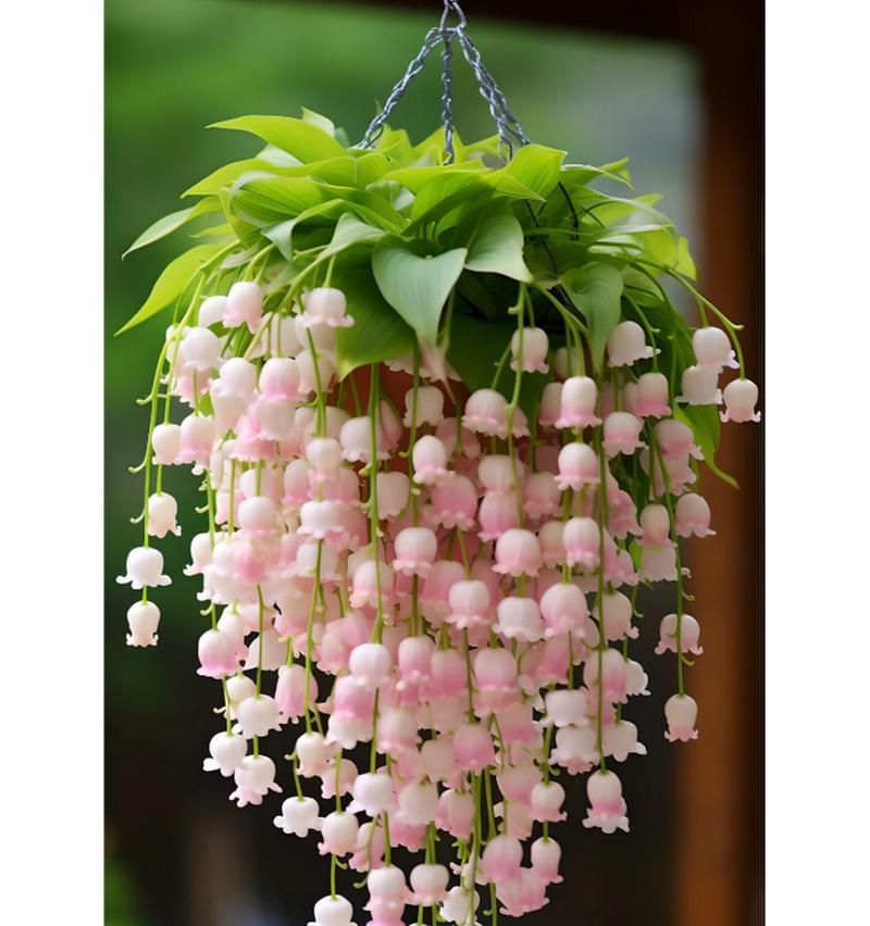 铃兰花的真正花语是什么？铃兰花花语是什么？