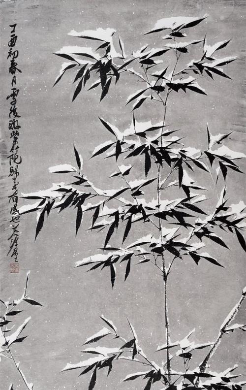 雪竹的花语是什么？雪竹花语在传统花语中代表什么？