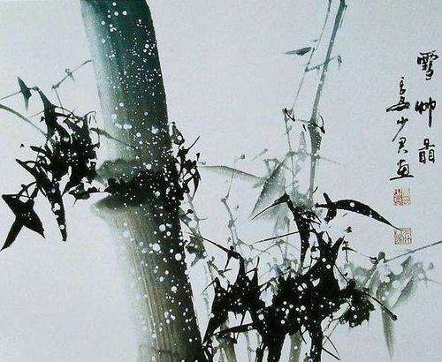 雪竹的花语是什么？雪竹花语在传统花语中代表什么？